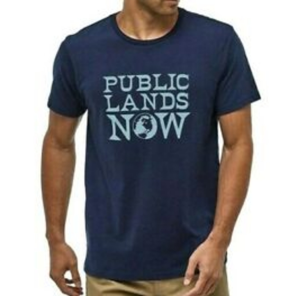 Men's Patagonia organic slim fit tee